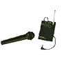 Azden WHX-PRO Hand-Held Microphone System with Built-In Transmitter