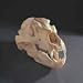 Grizzly Bear Skull Replica