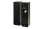 Cambridge SoundWorks Tower III Speakers (Pair)
