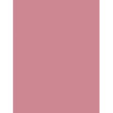 Kaleidoscope Multi-Purpose Paper, 8.5 x 11 Inches, Hyper Coral Red, 500 Sheets (102212)