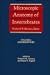 Books : Microscopic Anatomy of Invertebrates, Aschelminthes (Volume 4)