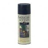 AMERICAN ACCENTS PAINT 12 oz. aerosol