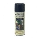 American Accents Paint 12 Oz. Aerosol