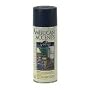 American Accents Paint 12 Oz. Aerosol