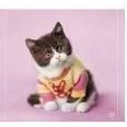 Childrens/Kids Girls Rachael Hale Animal Cat Design Fleece Blanket/Throw
