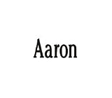 Clearly Charming Name Aaron RED HEART Laser Italian Charm Link