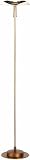 113RW22G1JL. SL160  Siamese Collection Floor Lamp Metal/Glass Bronze