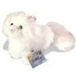 Webkinz Persian Cat