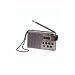 Sony ICF-M260 FM/AM Digital Tuning Portable Radio - Silver