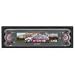 Sony In-Dash CD Player (CDX-M9900) (CDX-M9900)