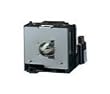 Sharp Replacement Projector Lamp (ANXR10L2)