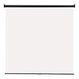 HON Company Products - Wall Screen, 60