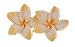 Hawaiian Pierced Flower Earrings Yellow Plumeria