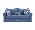Blue and Red Nascar Sofa stores