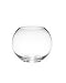 113dTH6mo9L. SL75  ►►► Glass Fishbowl Vase (12.5cm x 10cm)
