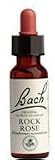 Bach - Rock Rose 20 Ml