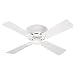 113jZaXhXaL. SL75  Hunter Ceiling Fan   Energy Saver