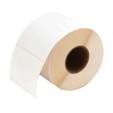 Primera - Glossy polyester labels - 3 in x 4 in - 600 label(s) ( 1 roll(s)  ....
