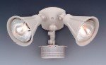 Security Lighting - Motion Detector - P270C