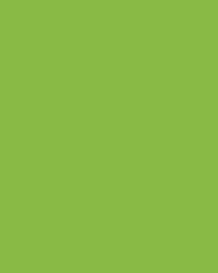 Formica Sheet Laminate 4x8 Vibrant Green