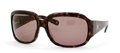 Banana Republic SOFIA Sunglasses