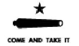 The Gonzales Banner of 1835 Nylon Flag 3' x 5'