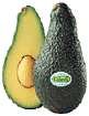 Pinkerton Avocado Tree Five Gallon