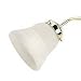 Sea Gull Lighting 1686-39 Ceiling Fan Glass Light Shade, Clear Seeded Glass