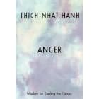 Anger. Wisdom for Cooling the Flames (Taschenbuch)