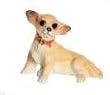 Dollhouse Miniature Sitting Chihuahua in 1:24 Scale