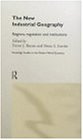 The New Industrial Geography: Regions, Regulation and Institutions (Routledge Studies in the Modern World Economy)