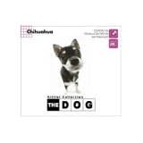 THE DOG～Chihuahua