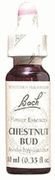 Bach Flower Essences Chestnut Bud - 20 ml. by Bach Flower Essences