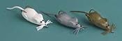Amazon.com: Snagproof� Moss Mouse� Bait: Sports & Outdoors