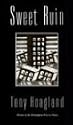 Sweet Ruin (Brittingham Prize in Poetry)