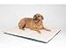 K&H Manufacturing Large Ortho Thermo Bed Green Dual Thermostat K&H Manufacturing Large Ortho Thermo Bed Green Dual Thermostat
