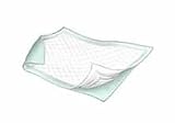 Kendall Brand Durasorb Underpad 23 X 26 Case