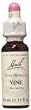 Vine - 20 ml - Liquid