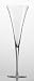 Enoteca Champagne Toasting Flutes