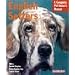 English Setters (Pet Owner's Manual)