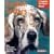 English Setters (Pet Owner's Manual)
