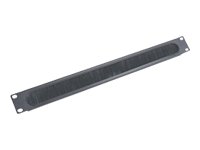 APC 1U Kabel Pass-Thru mit Brush Strip, schwarz
