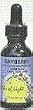Bayberry - 1 oz - Liquid Bayberry - 1 oz - Liquid