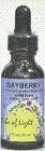 Bayberry - 1 oz - Liquid