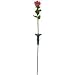 Boston Harbor 04048orbh Solar Pink Rose Stake Light