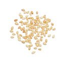 SESAME SEED, TOASTED, 6 - 1.0625 lb. jar