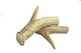 ANTLER CANE HANDLE