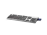 Hewlett Packard USB CCID Smartcard Keyboard External