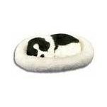Sleeping Dog Pet Nap - Border Collie Black / White