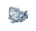 Replacement Lamp for CP-X1230 X1250 SX1350